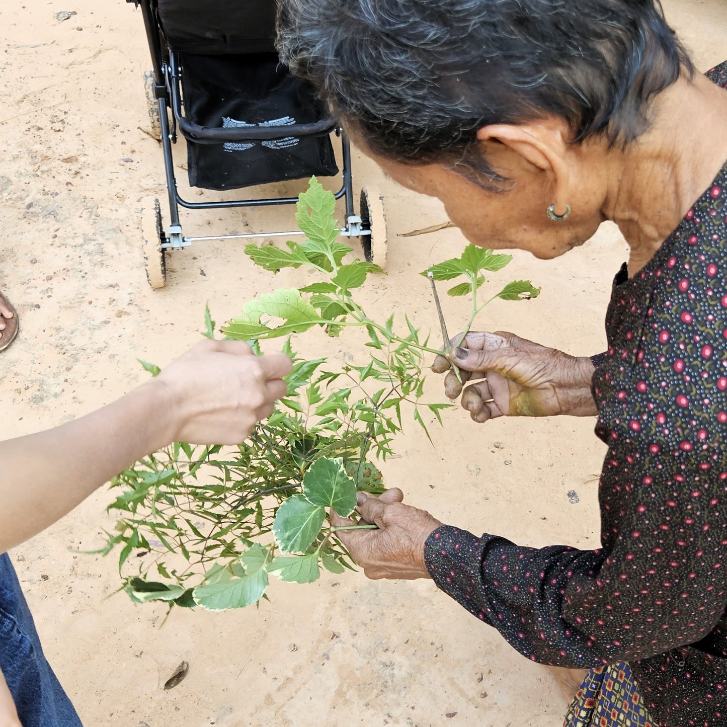 A photo of beautiful Kheoun at her home in a traditional wooden Cambodian home.