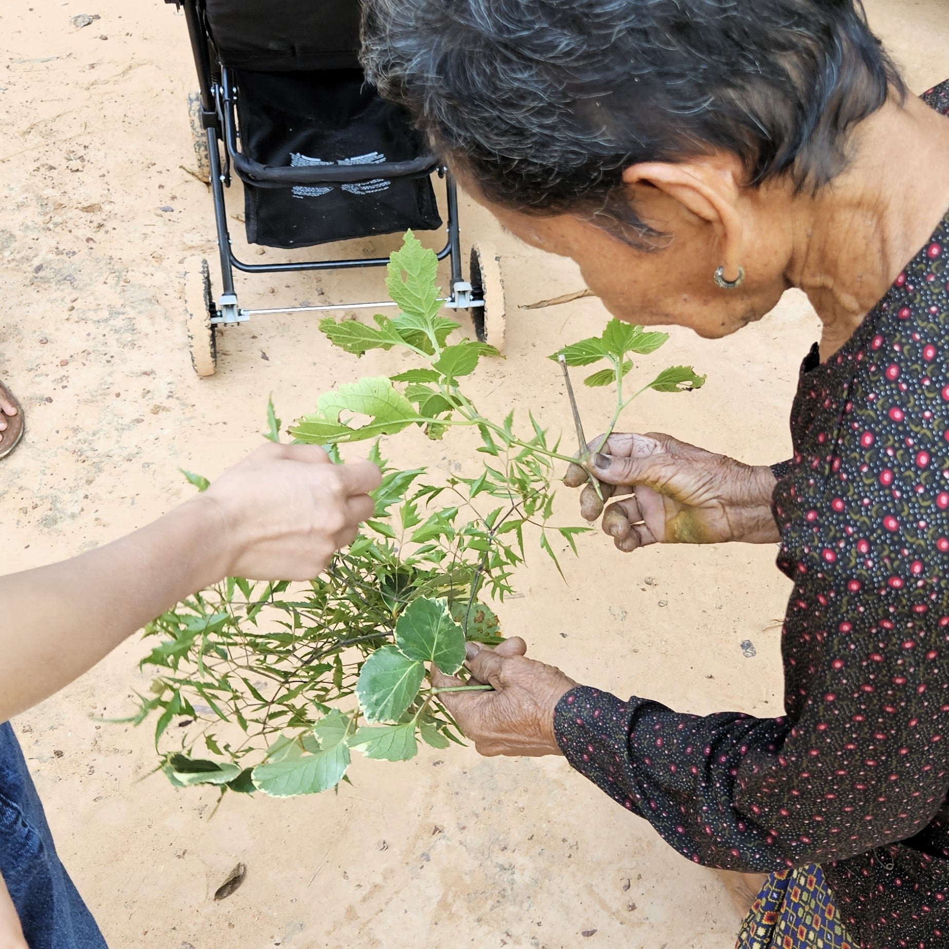 A photo of beautiful Kheoun at her home in a traditional wooden Cambodian home.