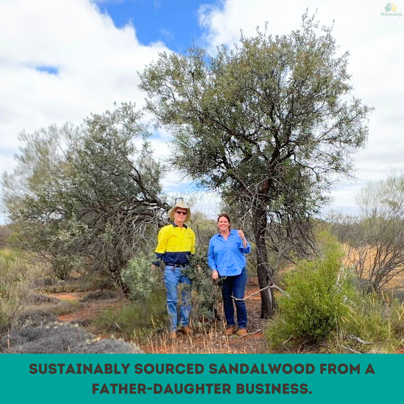 Australian Sandalwood Organic Incense Cones