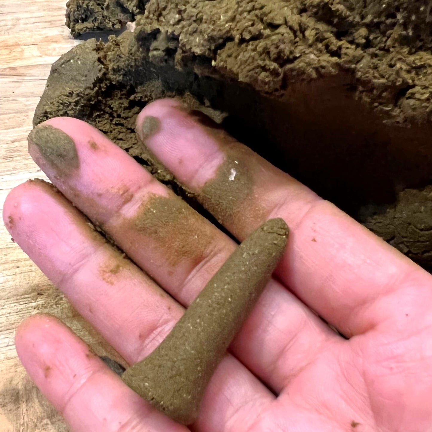 North Winter Woods Organic Incense Cones