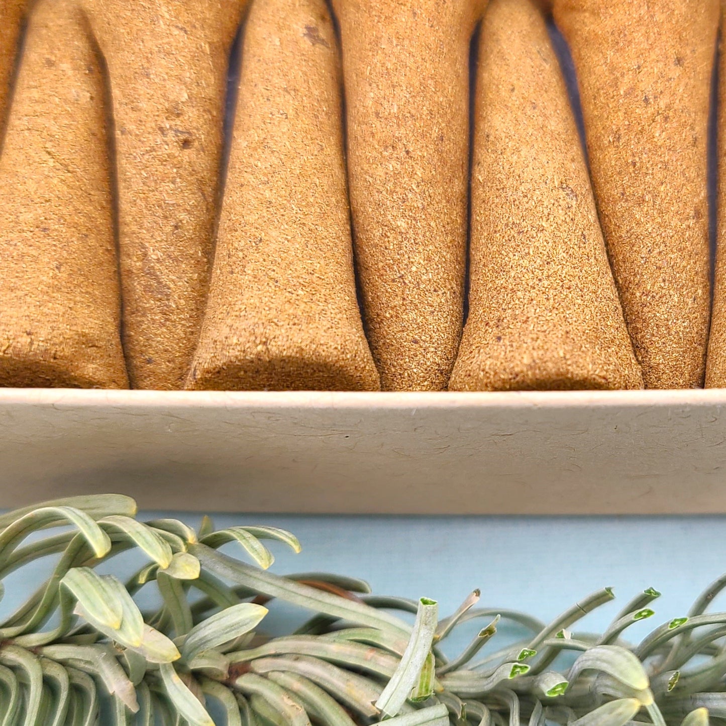 Close up detailed photo of North Winter Woods organic incense cones.
